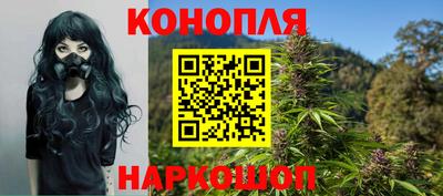 не бодяженный Кингисепп