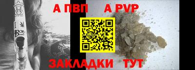 не бодяженный Кингисепп