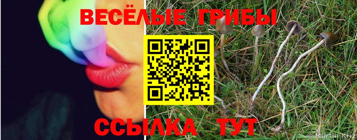 Галлюциногенные грибы GOLDEN TEACHER  Вход с VPN  Кубинка 