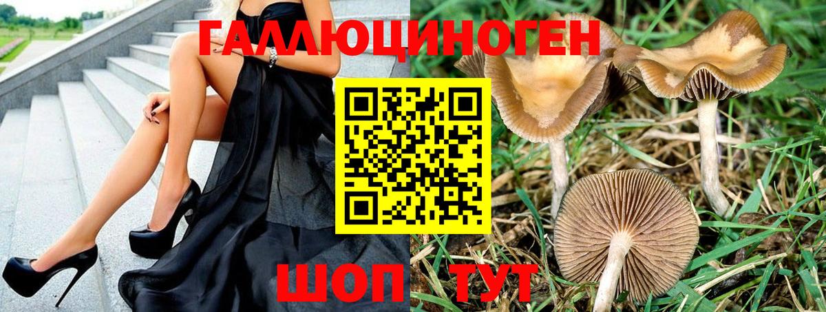 Галлюциногенные грибы прущие грибы Кубинка